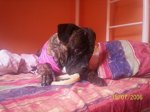 jaja poes...ik hou je wel in de gaten