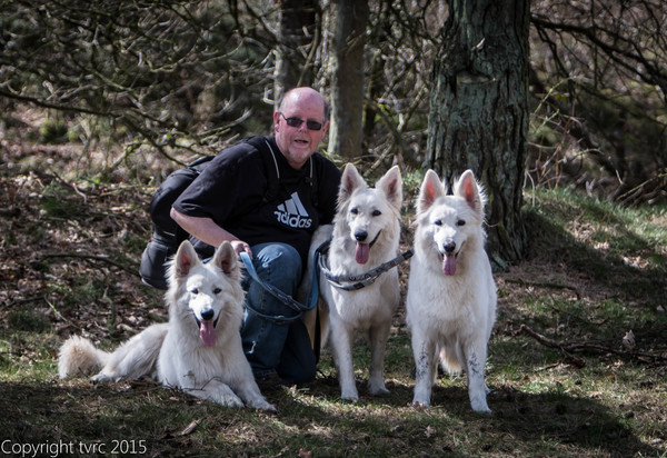 Zwitserse witte herder kennel Misthy's Friends