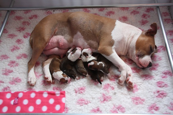 From Nature's Finest 