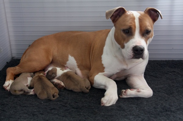 From Nature's Finest 