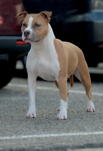 From Nature's Finest 