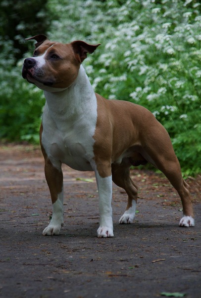 From Nature's Finest 