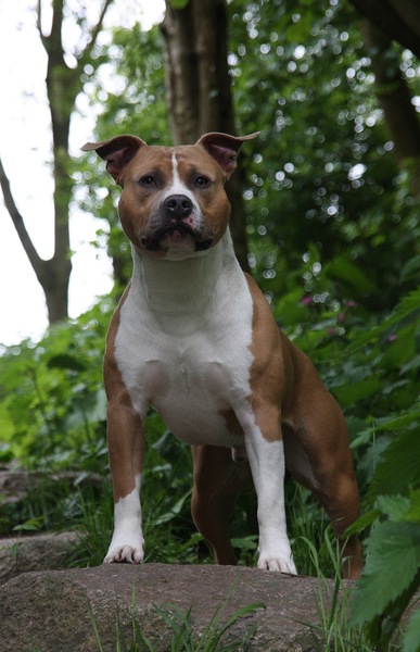 From Nature's Finest 