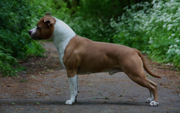 From Nature's Finest 