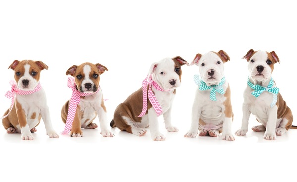 From Nature's Finest 