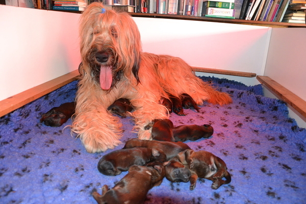 La Jeunesse de Valence