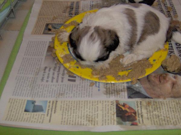 Lekker mijn bordje leeg smullen