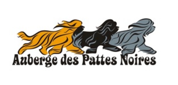 AUBERGE DES PATTES NOIRES