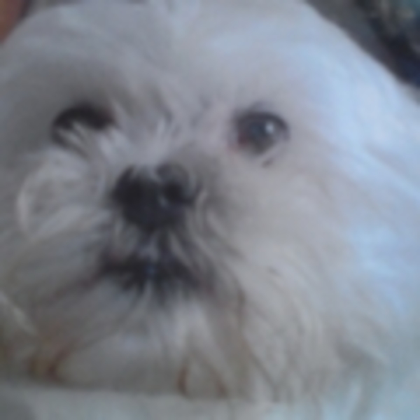 Queenie