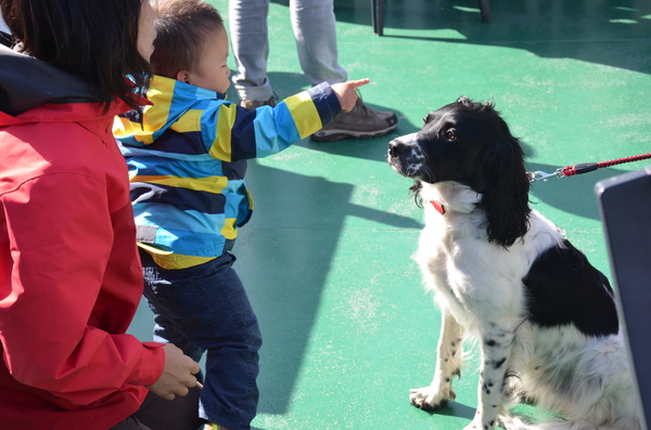 Kennel Sumaringahem (KMSH Van het Bramendal)