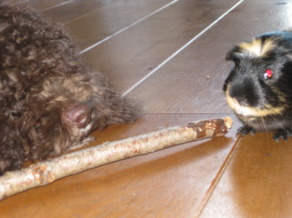 Gezellig samen spelen!