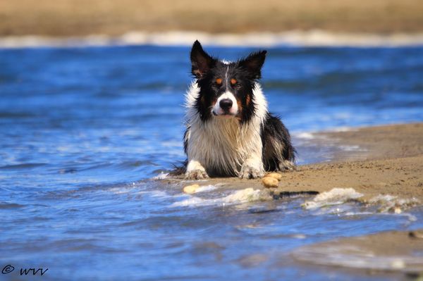 Heerlijk afkoelen bij het water