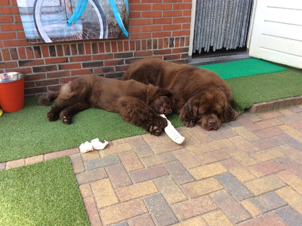 Lentezon , heerlijk relaxen.