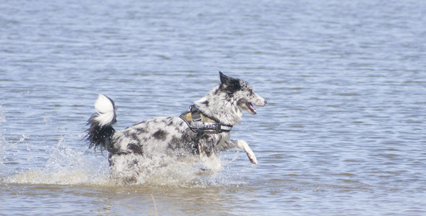 Spetteren in het water! 