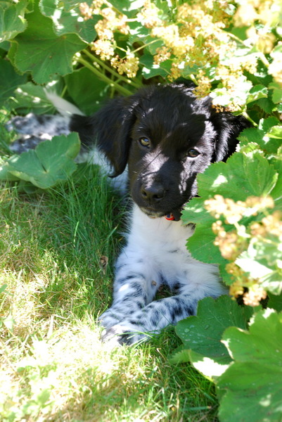 Schuilen voor de zon