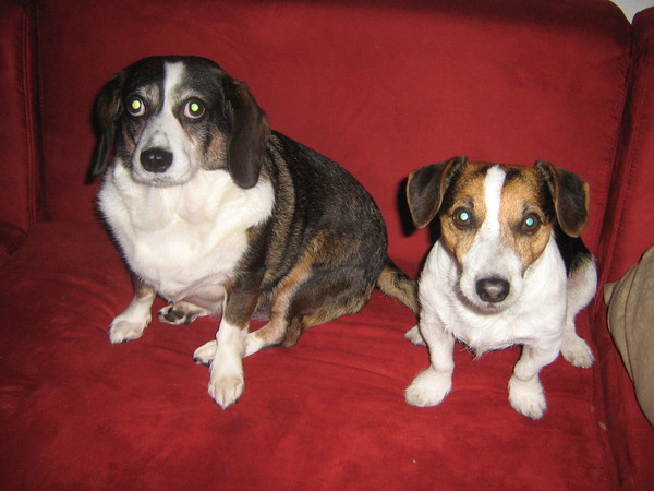 charley en haar vriendje max