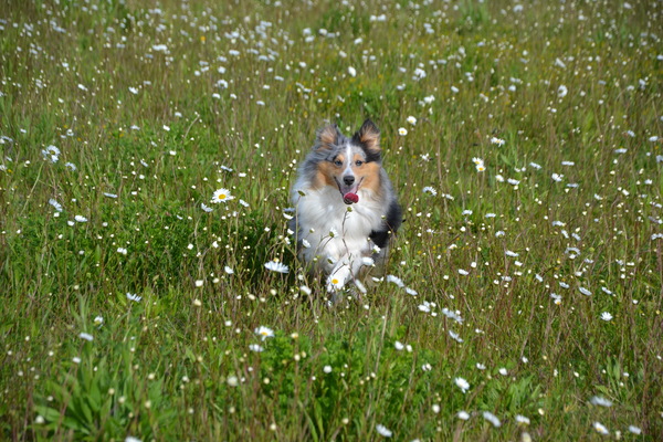 Abby de levensgenieter