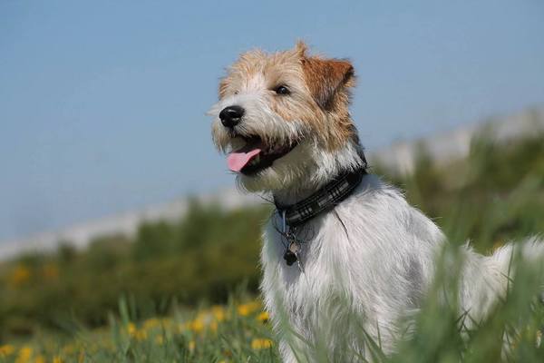 Let the spring begin!