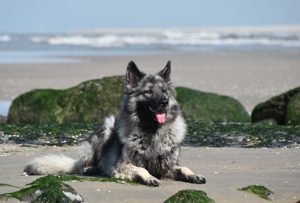 genieten van het zonnetje