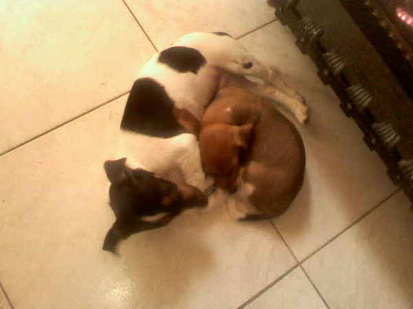 devil en angel samen