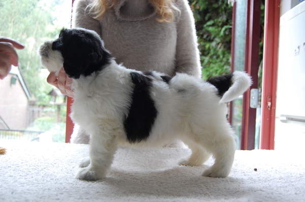 Bardzo-mi-milo-jestem