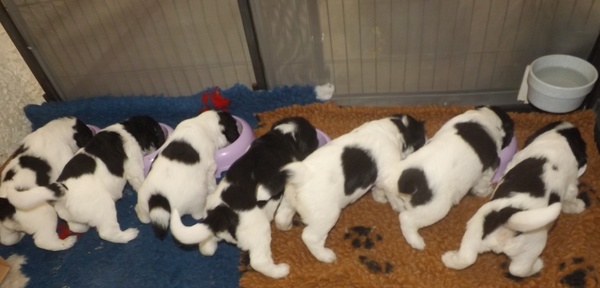 Bardzo-mi-milo-jestem