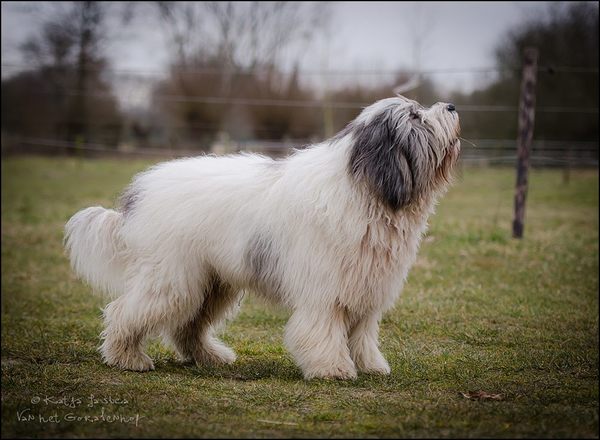 Bardzo-mi-milo-jestem