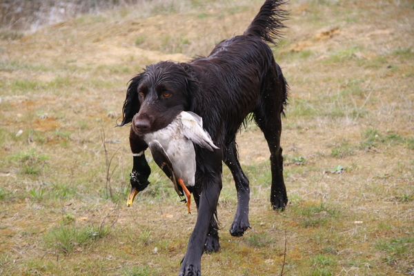 van de Oude Wijngaard