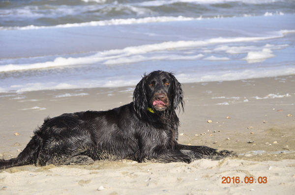 van de Oude Wijngaard