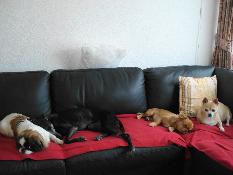 met z'n vieren op de bank