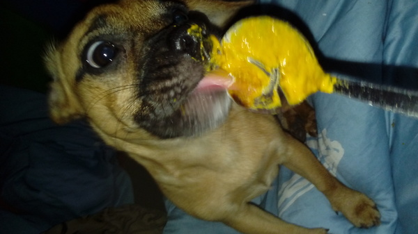 Herfst koekjes bakken