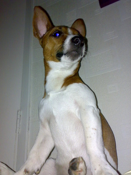 Lekker op de bank zitten