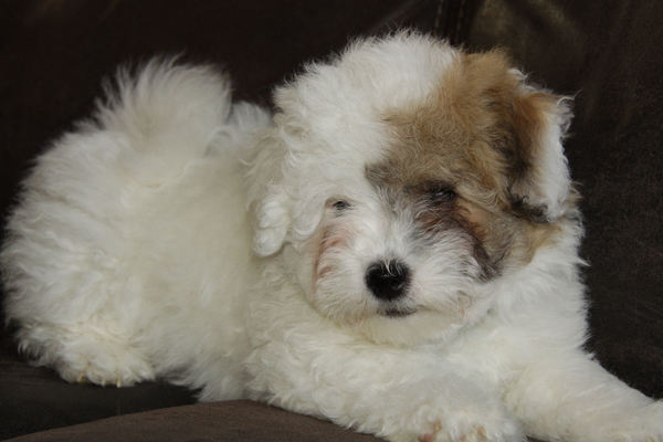 Cattledrivers Castle