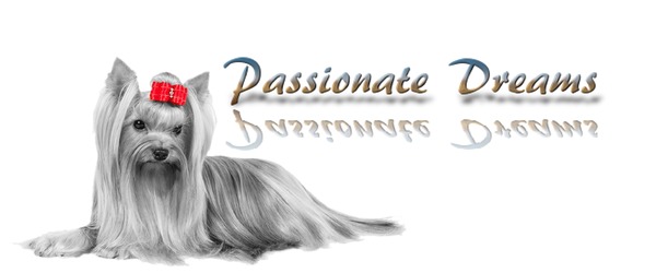 Passionate Dreams