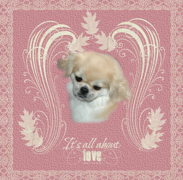 Onze meisje Missy-Lin