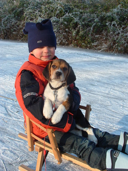 Gezellig samen op de slee!