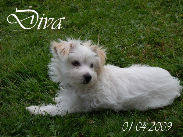 Even uitrusten, je wordt moe van de wereld ontdekken!