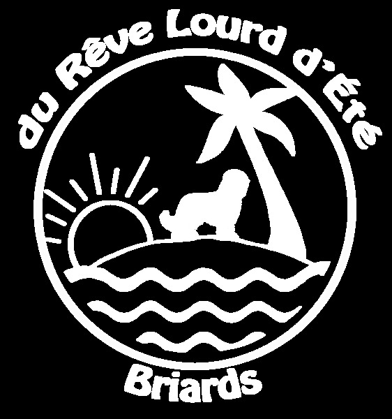 du Rêve Lourd d'Été