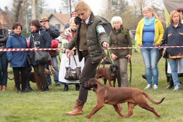 z Krainy Przodków FCI