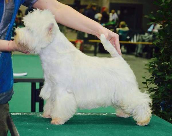 Jo en Maria Claassens
