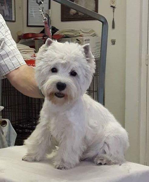 Jo en Maria Claassens