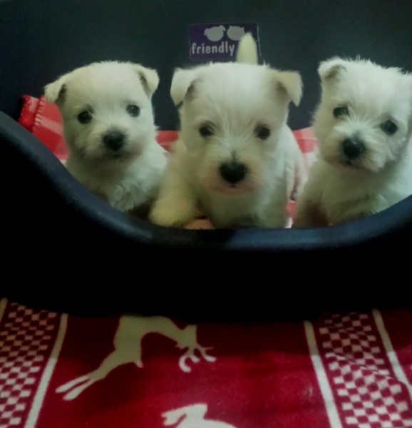 Jo en Maria Claassens