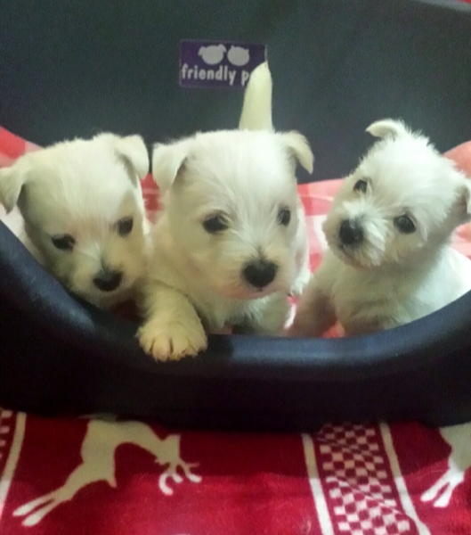 Jo en Maria Claassens