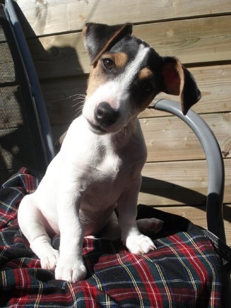 Chester, my best friend.