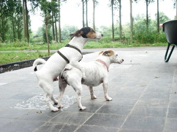 hum, niet kijken aub