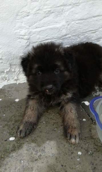 From Chaunny,s Place