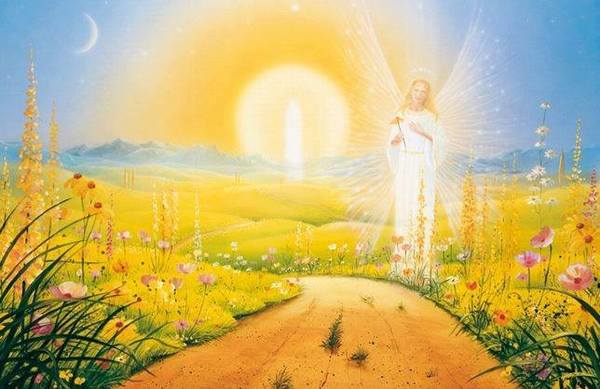 Kaukasische Owcharka