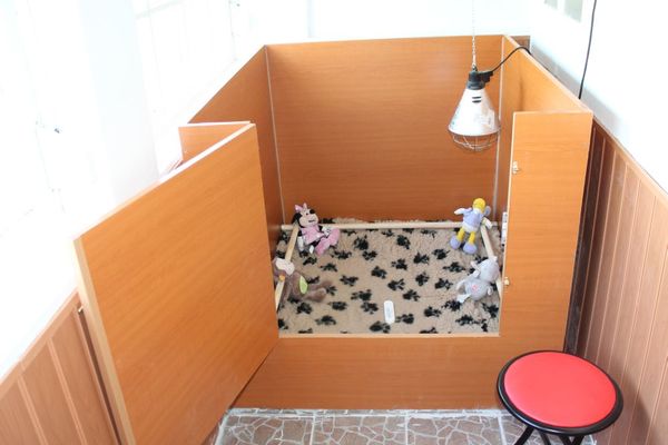 Bulls of Crown (Hongarije)