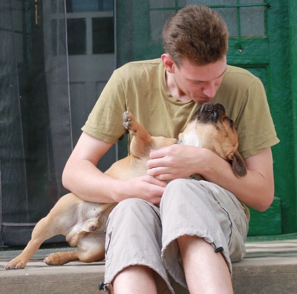 Bulls of Crown (Hongarije)