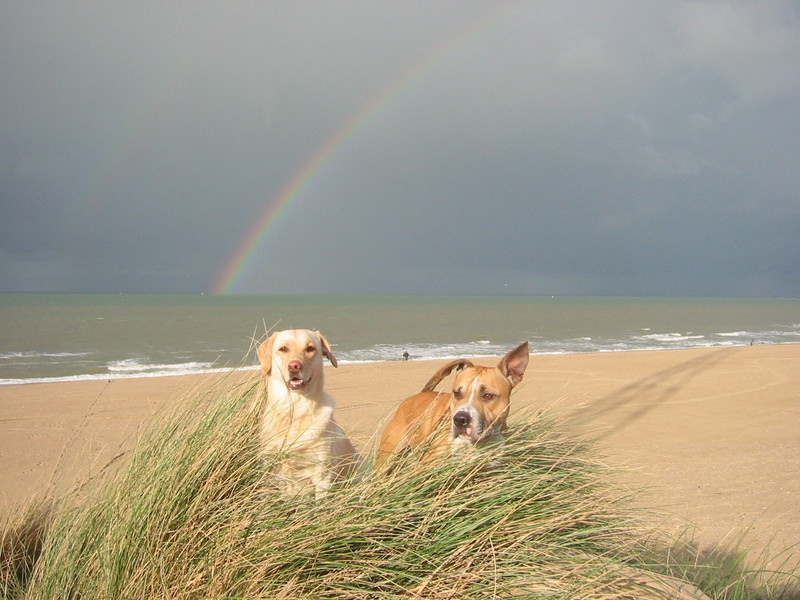 lotte en thyson